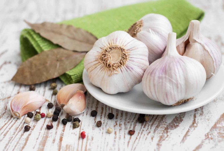 benefits of garlic