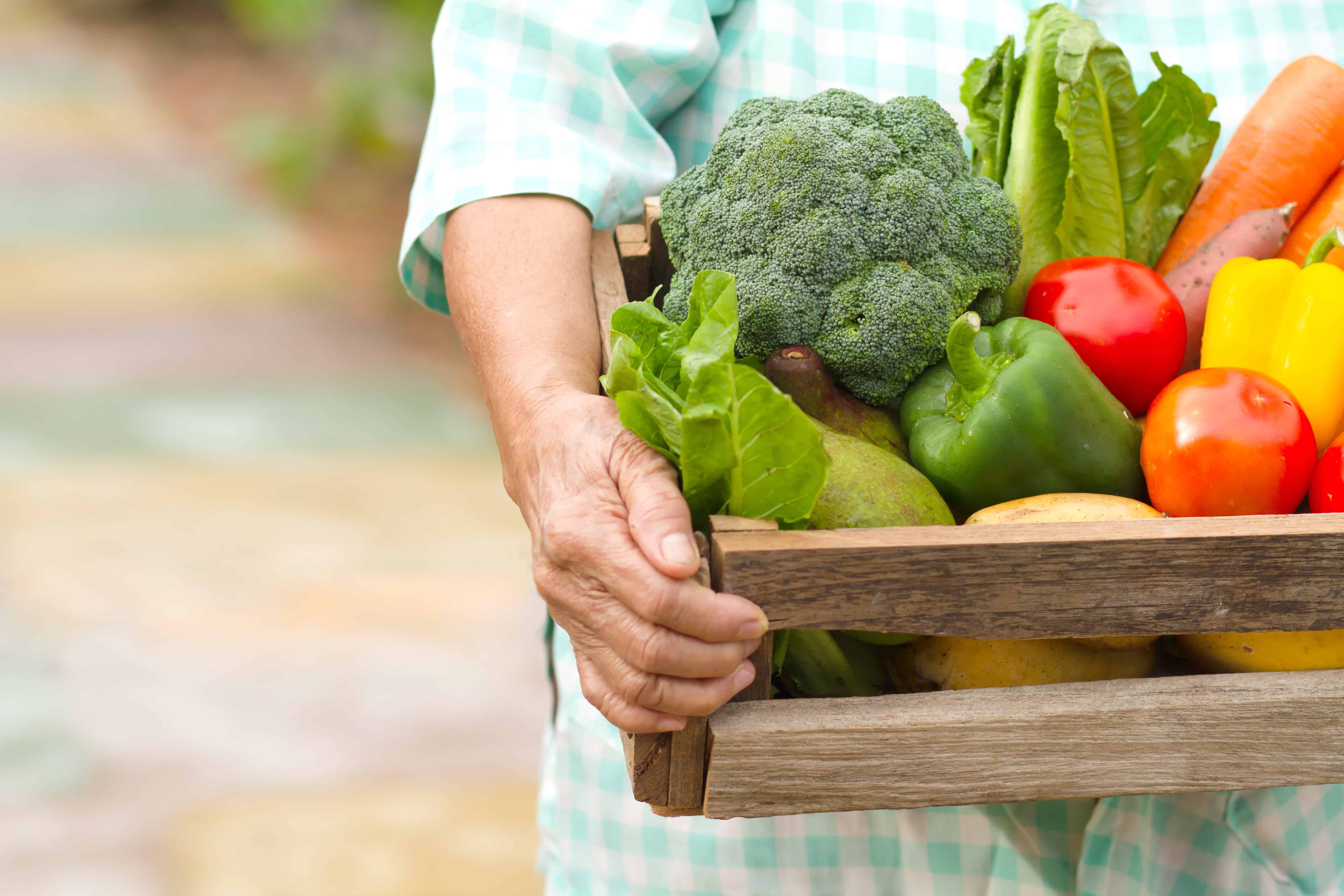 Food For Older Adults 10 Healthy Eats To Have Nowaways