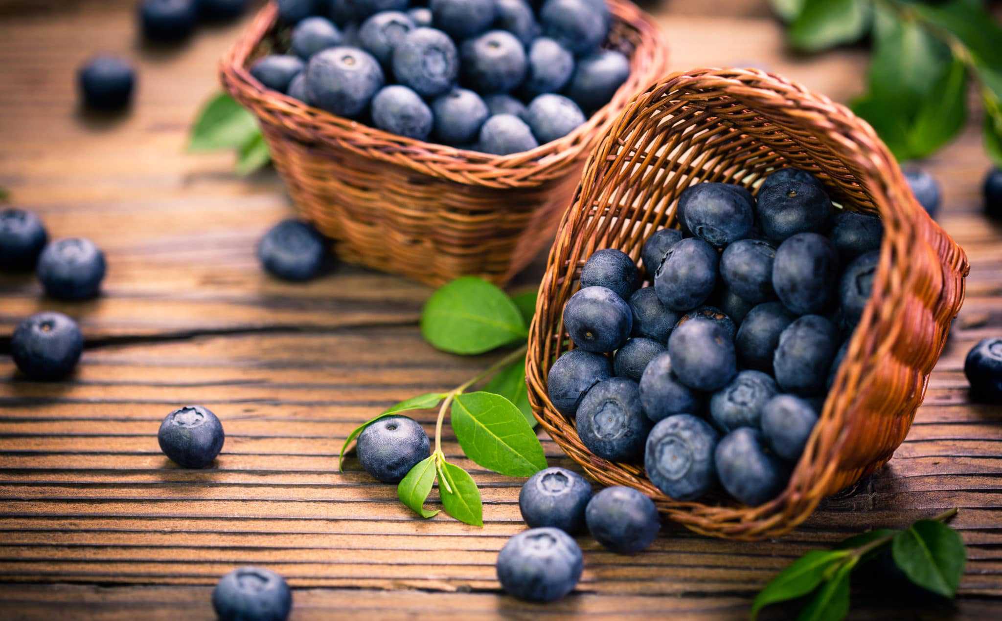 blueberries improves your eyesight