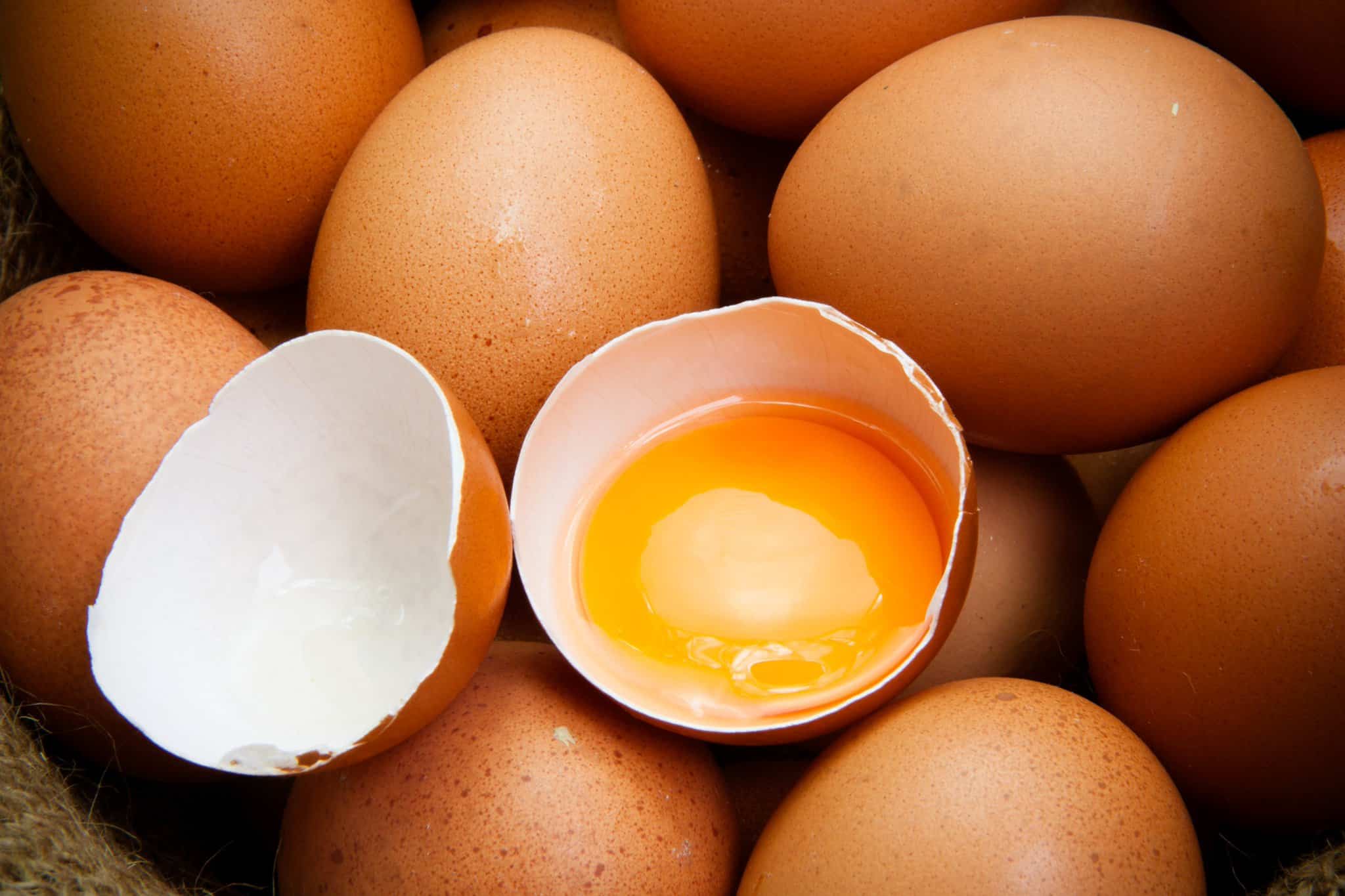egg yolk improves your eyesight