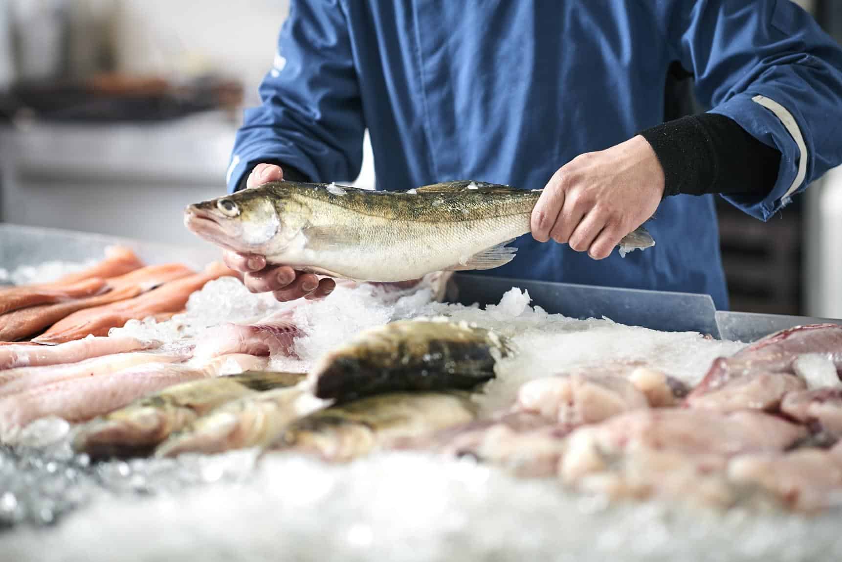 fish anti inflammatory food