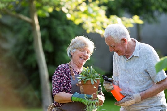 elderly couple gardening fun activities for seniors 2